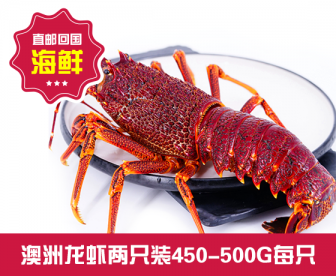 【直发中国】澳洲龙虾两只装450-500G每只 【直发中国】澳洲龙虾两只装450-500G每只